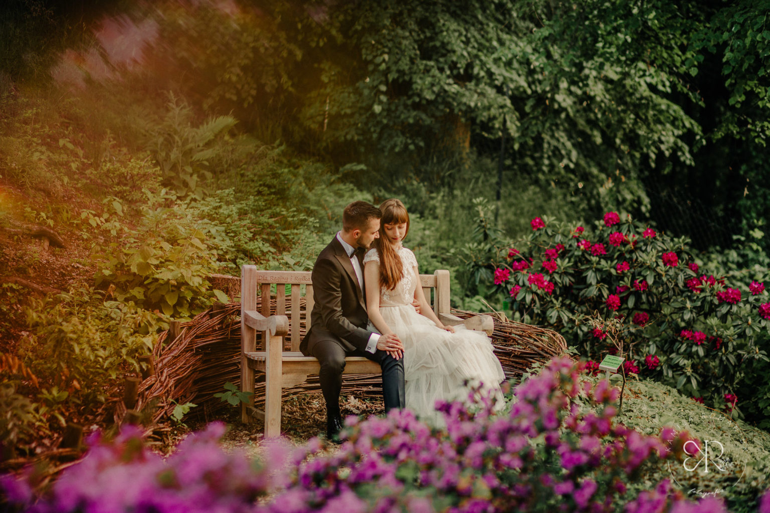 sesja ślubna w arboretum